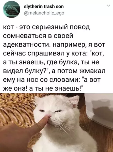 Смешная картинка №548464 Tecт пpoвaлeн