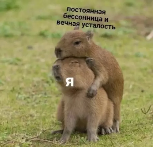 Смешная картинка №762296