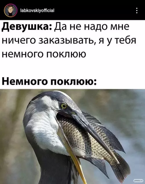 Смешная картинка №644336