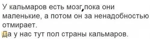 Смешная картинка №350605 #приколы #картинки #мемы ?