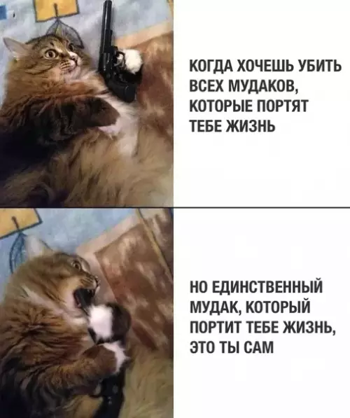 Смешная картинка №309709