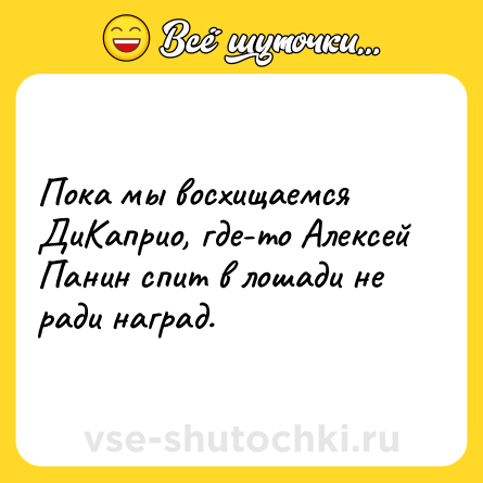 Шутка: Пока мы восхищаемся ДиКаприо, где-то Алексей Панин спит в лошади не ради наград.