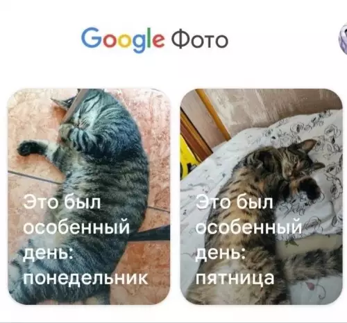Смешная картинка №727297