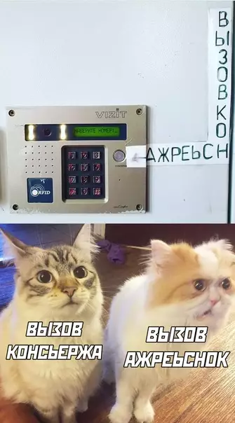 Смешная картинка №502050 объявления, показалось