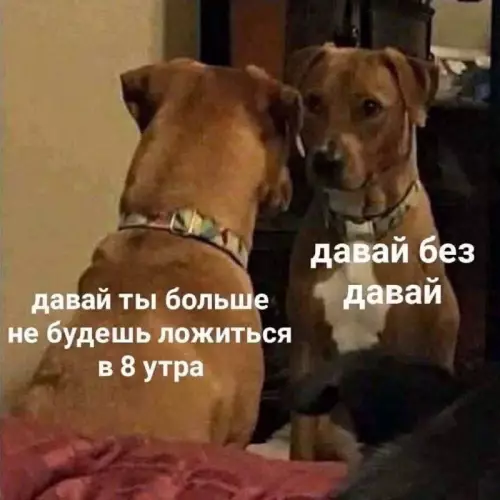 Смешная картинка №672068
