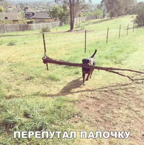 Смешная картинка №215328