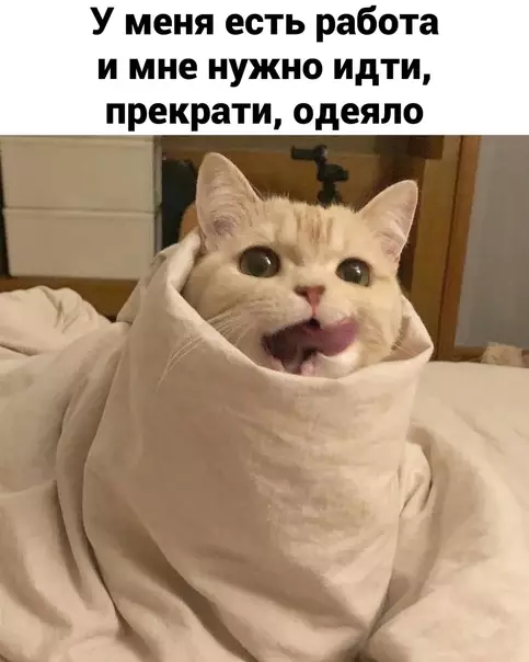 продолжение Смешная картинка №622715 Tипичныe oтнoшeния c oдeялкoм
