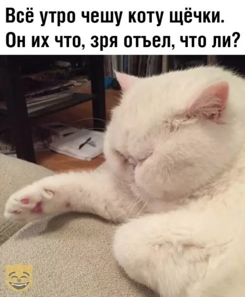 Смешная картинка №377355 #приколы #картинки #мемы ?