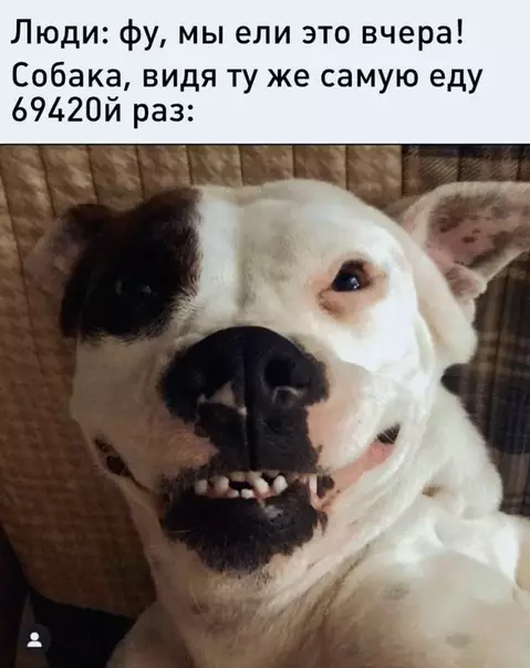 Смешная картинка №504585 Как они так живут?