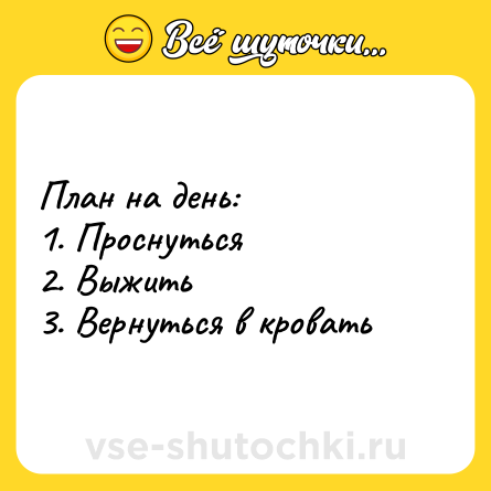 Шутка: План на день: <br>1. Проснуться <br>2. Выжить <br>3. Вернуться в кровать