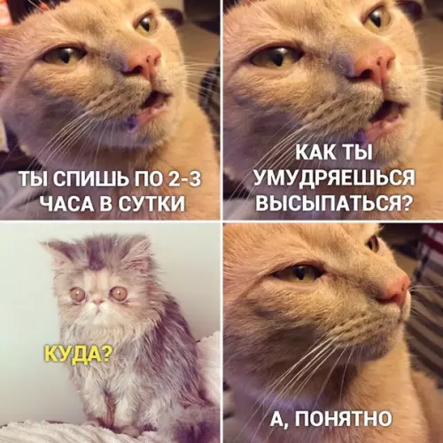 Смешная картинка №454139