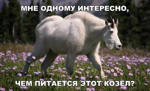 Смешная картинка №287160