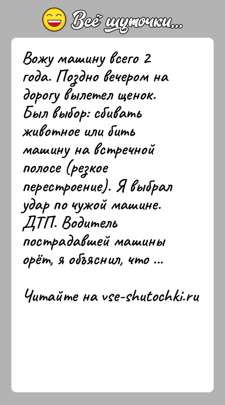 История: Вожу машину всего 2 года. Поздно вечером на дорогу вылетел щенок. Был выбор: сбивать животное или бить машину на встречной
