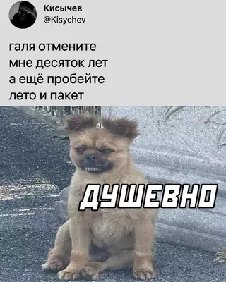 Смешная картинка №674055