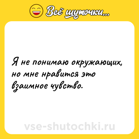 Шутка: Я не понимаю окружающих, но мне нравится это взаимное чувство.