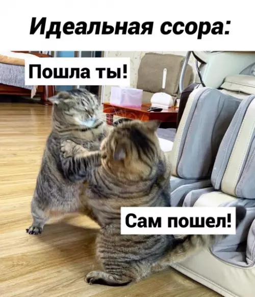 Смешная картинка №536023