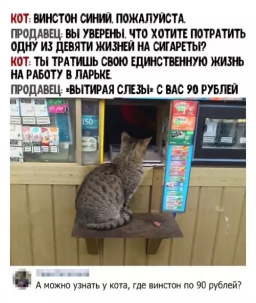 Смешная картинка №492189