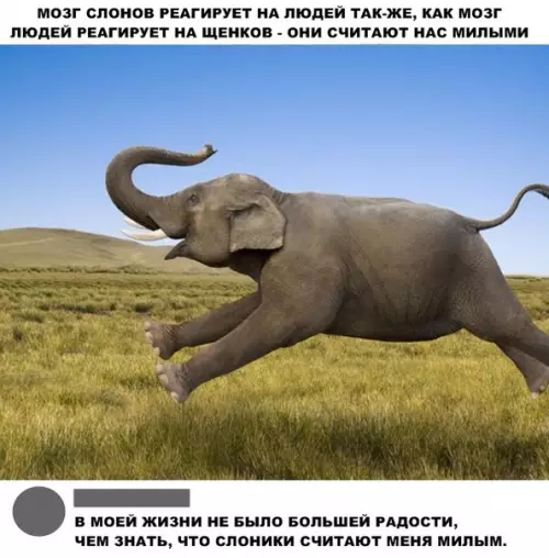Смешная картинка №295307