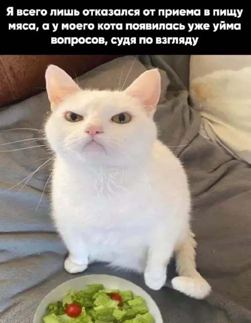 Смешная картинка №689900
