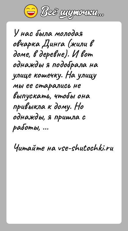 История: У нас была молодая овчарка Динга (жили в доме, в деревне). И вот однажды я подобрала на улице кошечку. На