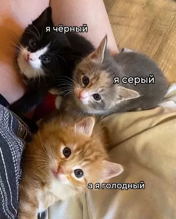 Смешная картинка №778514