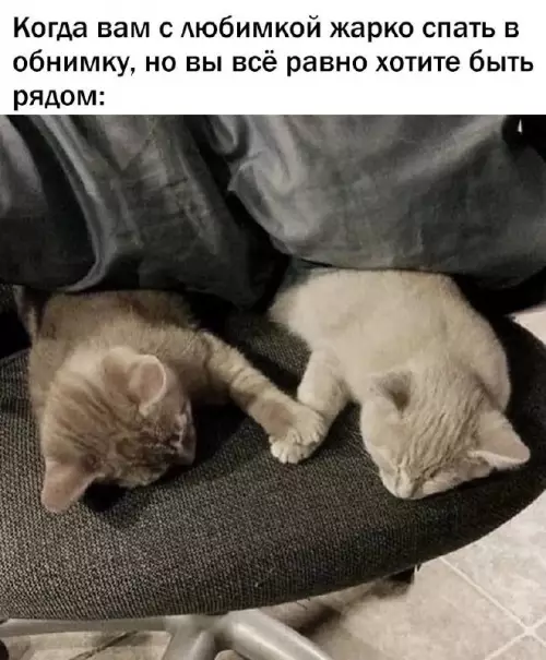 Смешная картинка №663640
