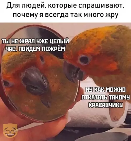 Смешная картинка №367015 #приколы #картинки #мемы ?