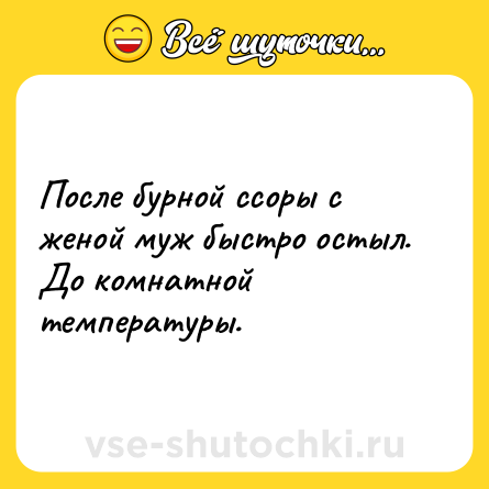 Шутка: После бурной ссоры с женой муж быстро остыл. До комнатной температуры.