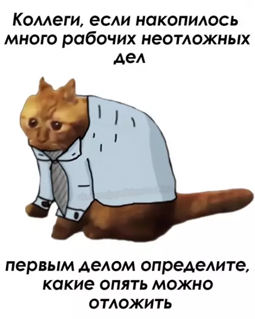 Смешная картинка №734586 Так и сделаю Работа