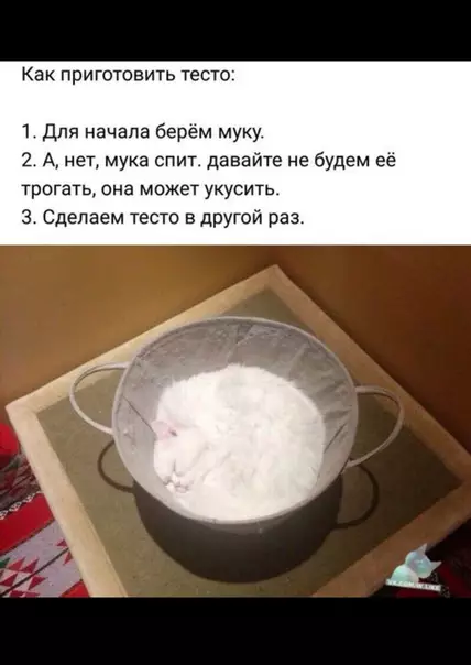 Смешная картинка №333708