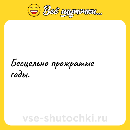 Шутка: Бесцельно прожратые годы.