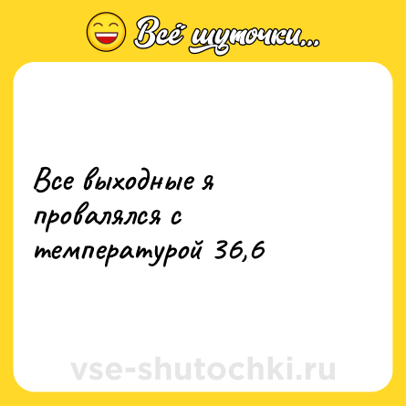 Шутка: Все выходные я провалялся с температурой 36,6