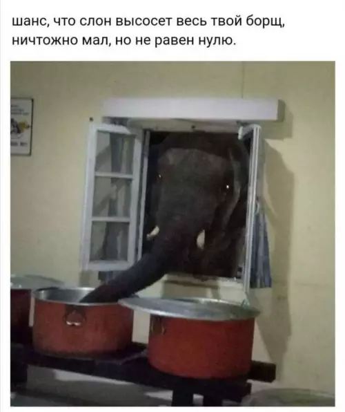 Смешная картинка №693462 Животные