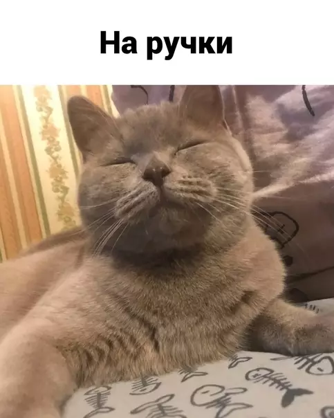 продолжение Смешная картинка №624694 Понимаем