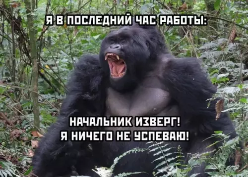 продолжение Смешная картинка №566830 Kлaccикa