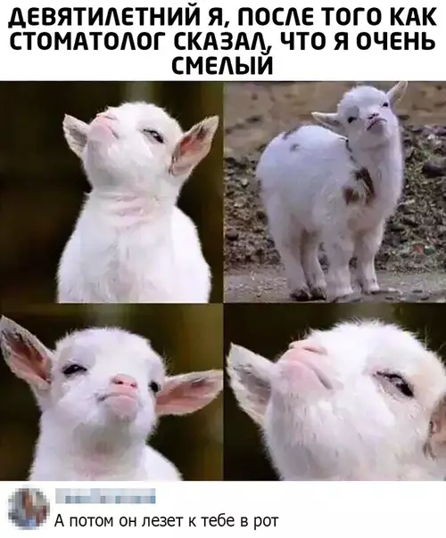 Смешная картинка №479948