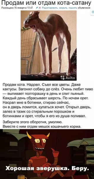 Смешная картинка №513211 Кот-сатана