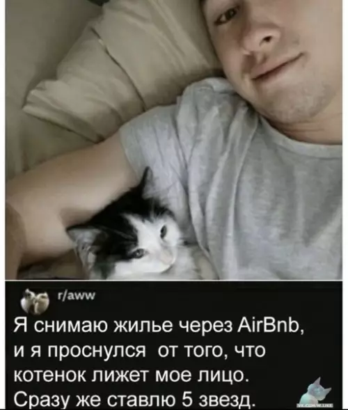 Смешная картинка №390307