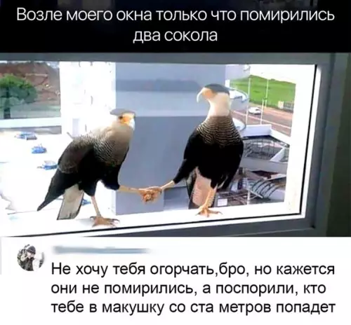 Смешная картинка №341608