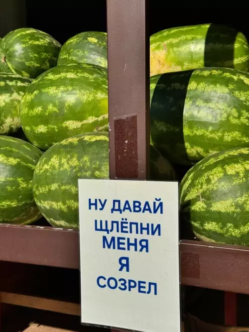 Арбузный вызов принят! 🍉💥 - НУ ДАВАЙ ЩЛЁПНИ МЕНЯ Я СОЗРЕЛ