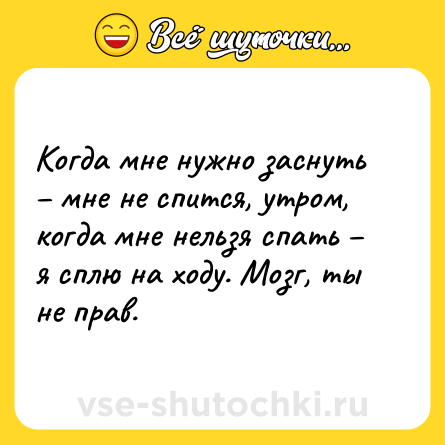 Шутка: Когда мне нужно заснуть – мне не спится, утром, когда мне нельзя спать – я сплю на ходу. Мозг, ты не прав.