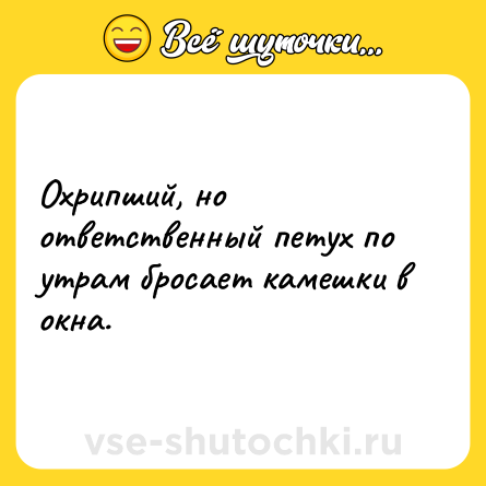Шутка: Охрипший, но ответственный петух по утрам бросает камешки в окна.