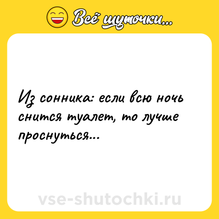 Шутка: Из сонника: если всю ночь снится туалет, то лучше проснуться...