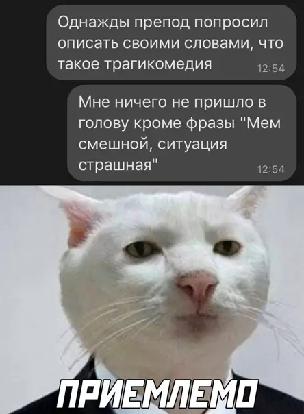 Смешная картинка №556028