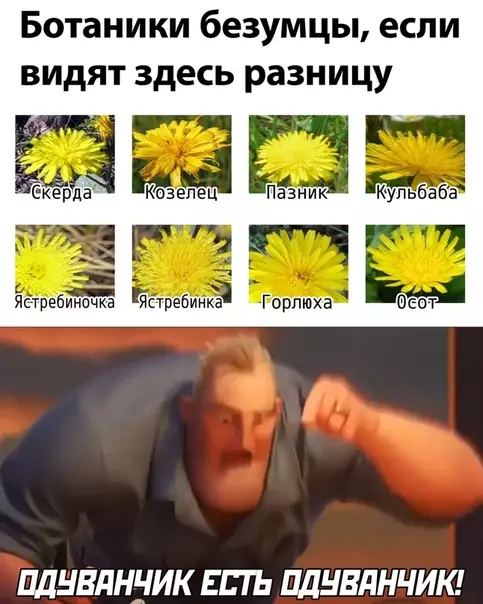 Смешная картинка №503453