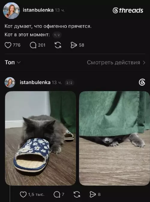 Мастер маскировки 99 уровня 🐈‍⬛ - Кот думает, что офигенно прячется. Кот в этот момент: