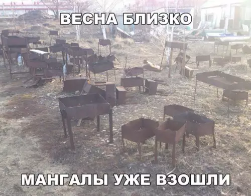 Смешная картинка №253380 весна