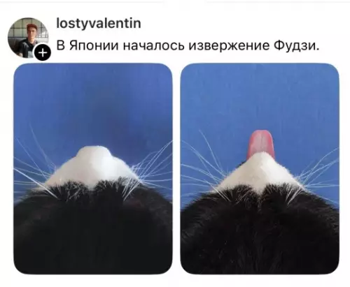 Фудзияма поплыла! 🌋🐱 - В Японии началось извержение Фудзи.