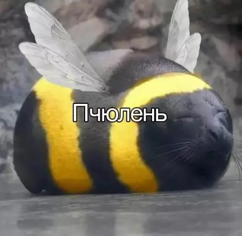 Смешная картинка №743402