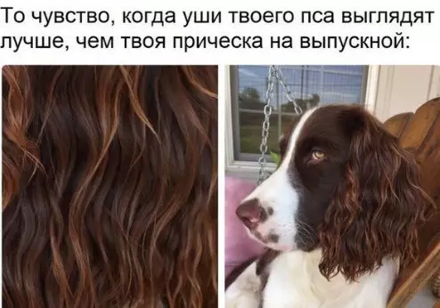 Смешная картинка №220689